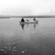 Image for article titled These Dogs are Honorary Geologists for Their Early Exploration of Alaska